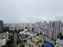 Trevista (D12), Condominium #579755821